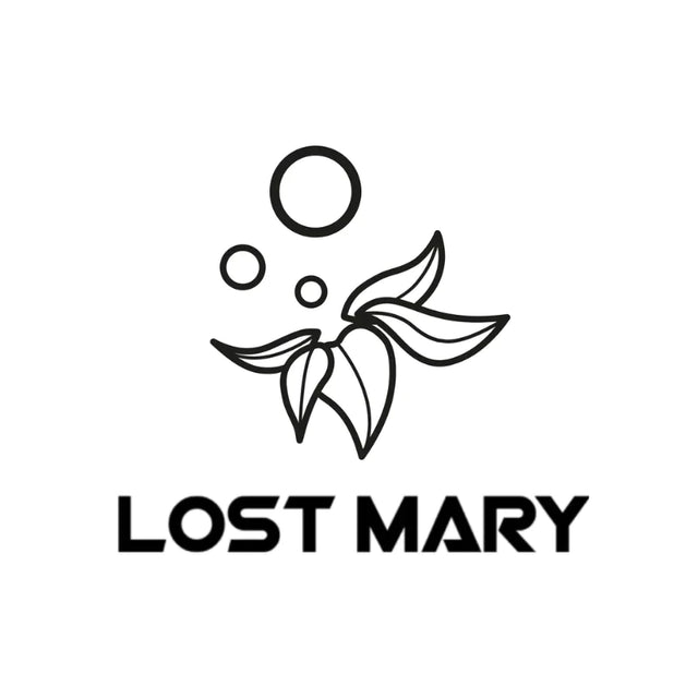 Das Logo der Elfbar Untermarke Lost Mary bekannt für ihre Ezigaretten