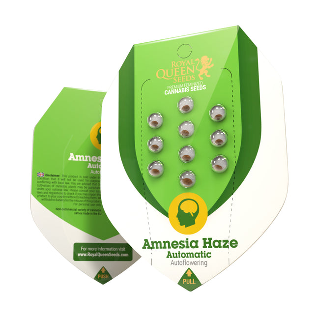 Royal Queen Seeds - Amnesia Haze Autoflower 3er Pack