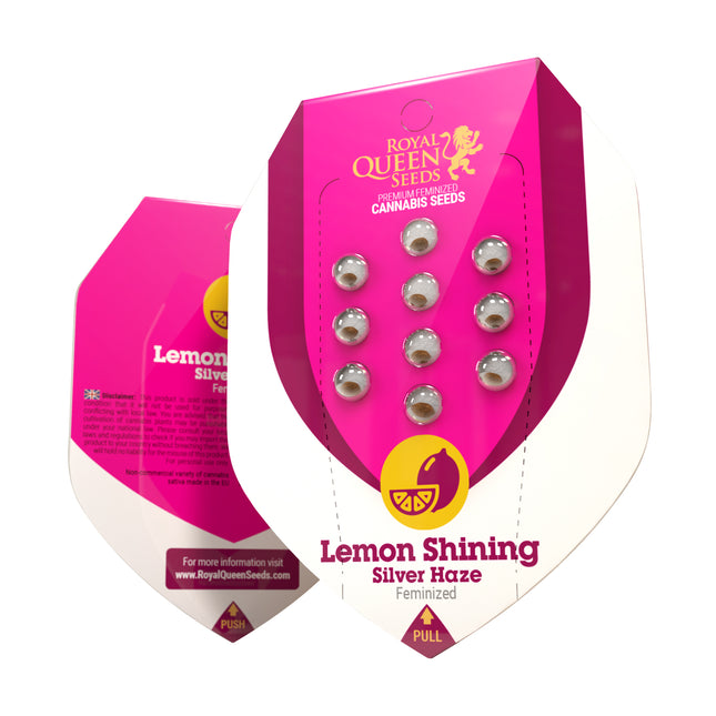 Royal Queen Seeds - Lemon Shining Silver Haze (Feminisiert) 3er Pack