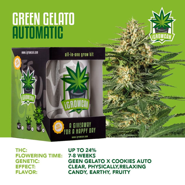 IGrowCan Autoflower Set - Green Gelato