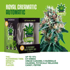 IGrowCan Autoflower Set - Royal Creamatic