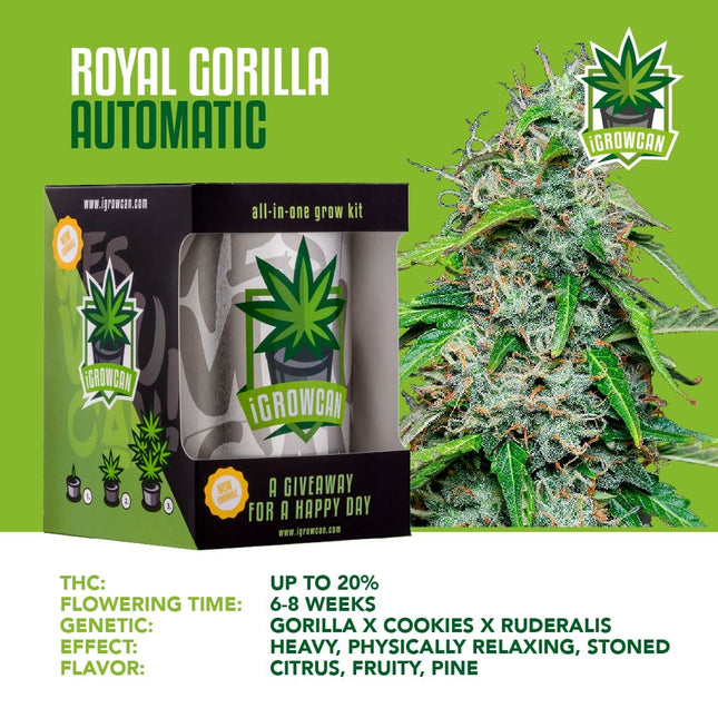 IGrowCan Autoflower Set - Royal Gorilla