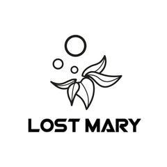 Das Logo der Elfbar Untermarke Lost Mary bekannt für ihre Ezigaretten