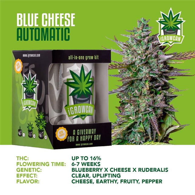 IGrowCan Autoflower Set - Blue Cheese