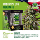 IGrowCan Autoflower Set - Cherry Pie