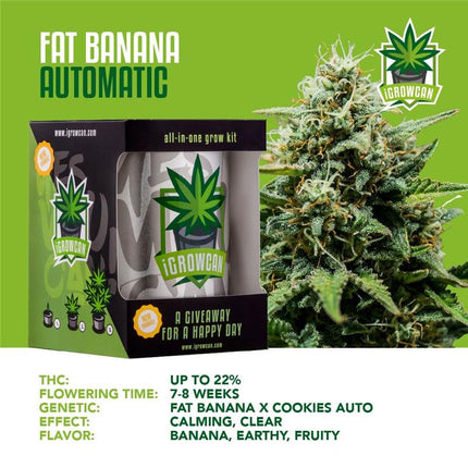 IGrowCan Autoflower Set - Fat Banana