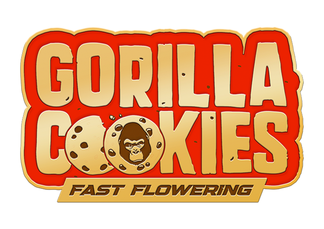 Fast Buds - Gorilla Cookies (Fast Flowering)