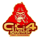 Fast Buds - GG4 Sherbert (Fast Flowering)