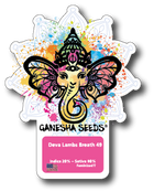 Ganesha Seeds - Deva Lambs Breath x #49 Feminisiert 3er Pack