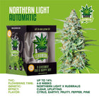 IGrowCan Autoflower Set - Northern Lights