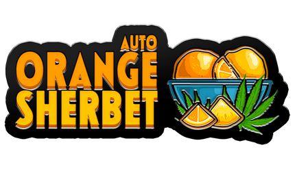 Fast Buds - Orange Sherbet (Autoflower)
