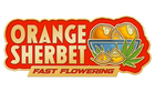 Fast Buds - Orange Sherbet (Fast Flowering)