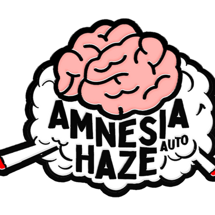 Fast Buds - Amnesia Haze (Autoflower)