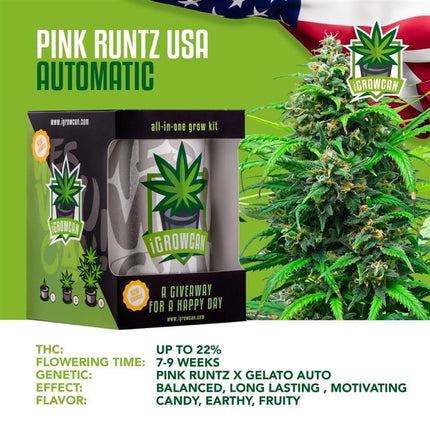 IGrowCan Autoflower Set - Pink Runtz