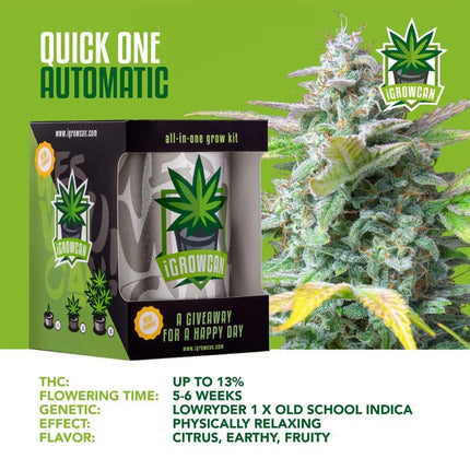 IGrowCan Autoflower Set - Quick One