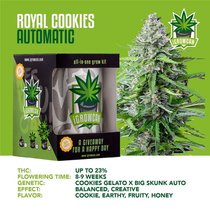 IGrowCan Autoflower Set - Royal Cookies