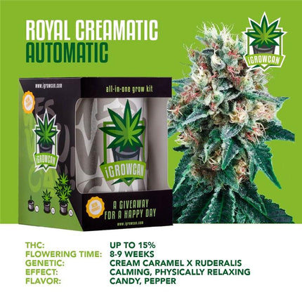 IGrowCan Autoflower Set - Royal Creamatic