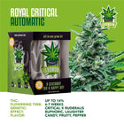 IGrowCan Autoflower Set - Royal Critical