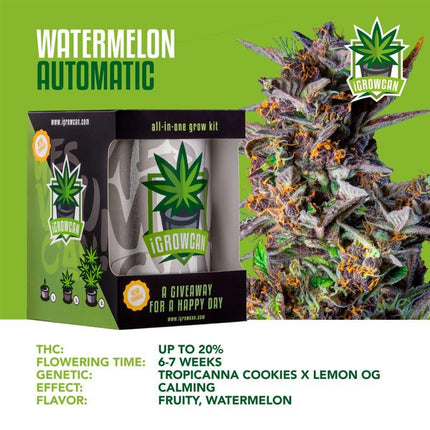 IGrowCan Autoflower Set - Watermelon