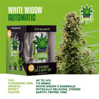 IGrowCan Autoflower Set - White Widow