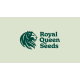 Royal Queen Seeds