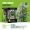 IGrowCan Autoflower Set - Royal Cookies