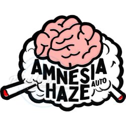 Fast Buds - Original Amnesia Haze (Autoflower) 1 Stück