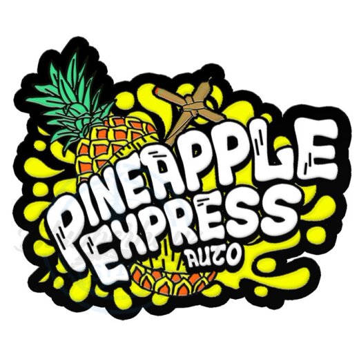Fast Buds - Pineapple Express (Autoflower) 2er Pack