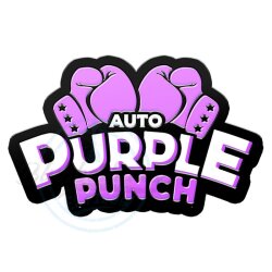 Fast Buds - Purple Punch (Autoflower) 1 Stück
