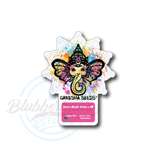 Ganesha Seeds - Deva Black Hole x #49 Feminisiert 3er Pack