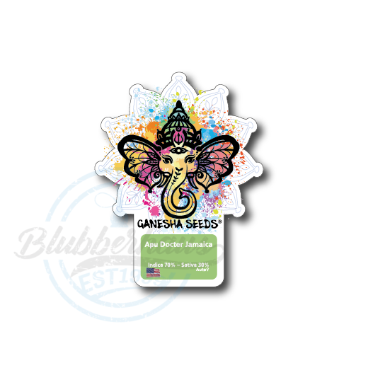 Ganesha Seeds - Apu Doctor Jamaica Autoflower 3er Pack