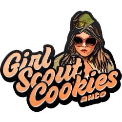 Fast Buds - Girl Scout Cookies (Autoflower) 1 Stück