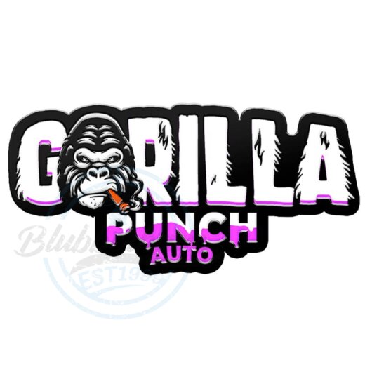 Fast Buds - Gorilla Punch (Autoflower) 1 Stück