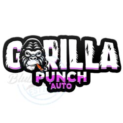 Fast Buds - Gorilla Punch (Autoflower) 3er Pack