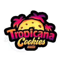 Fast Buds - Tropicana Cookies (Autoflower) 2er Pack