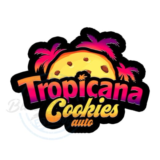 Fast Buds - Tropicana Cookies (Autoflower) 3er Pack