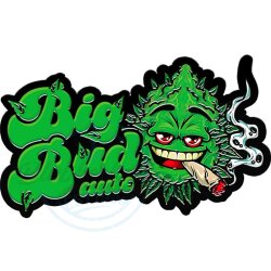 Fast Buds - Original Big Bud (Autoflower) 3er Pack