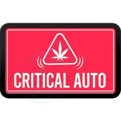 Fast Buds - Original Critical (Autoflower) 2er Pack