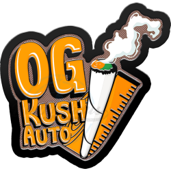 Fast Buds - Original OG Kush (Autoflower) 2er Pack