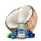 Elfbar ElfLIQ 10ml - Coconut Blueberry 10mg