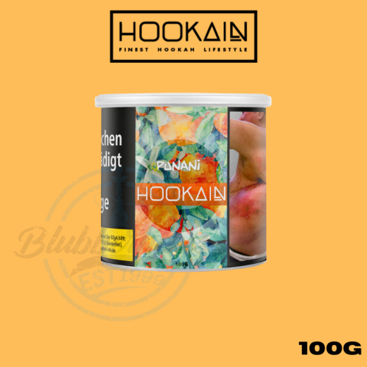 Hookain Shisha Tabak 100g - Punani