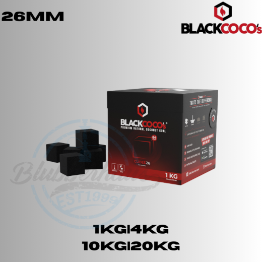 Blackcoco Shisha Kohle 26mm