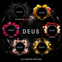 DEUS Shisha Tabak 100g